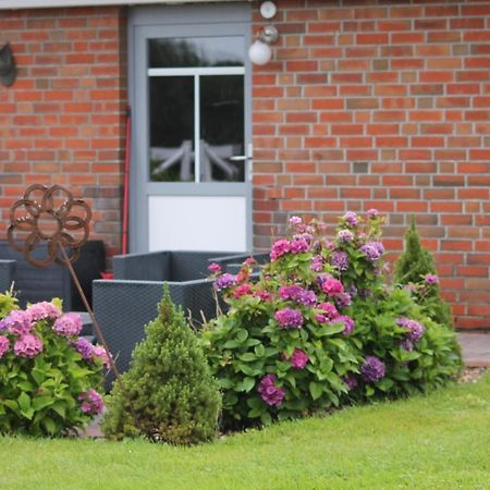 Balzwiekje Auszeit Auf Pferdehof In Ostfriesland Ihlow  エクステリア 写真